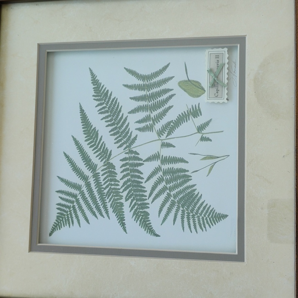 🎍 Heather FERN   3 DIMENSIONAL Framed ART S. Novak